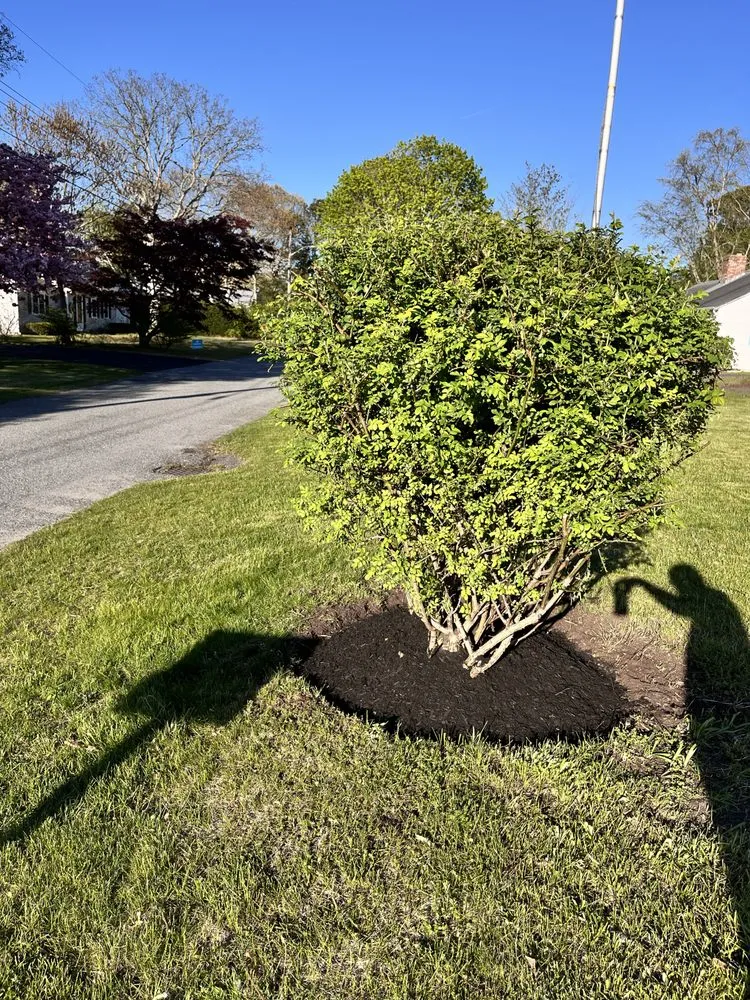 Professional lawn care service in South Yarmouth, MA - Destiny Landscaping