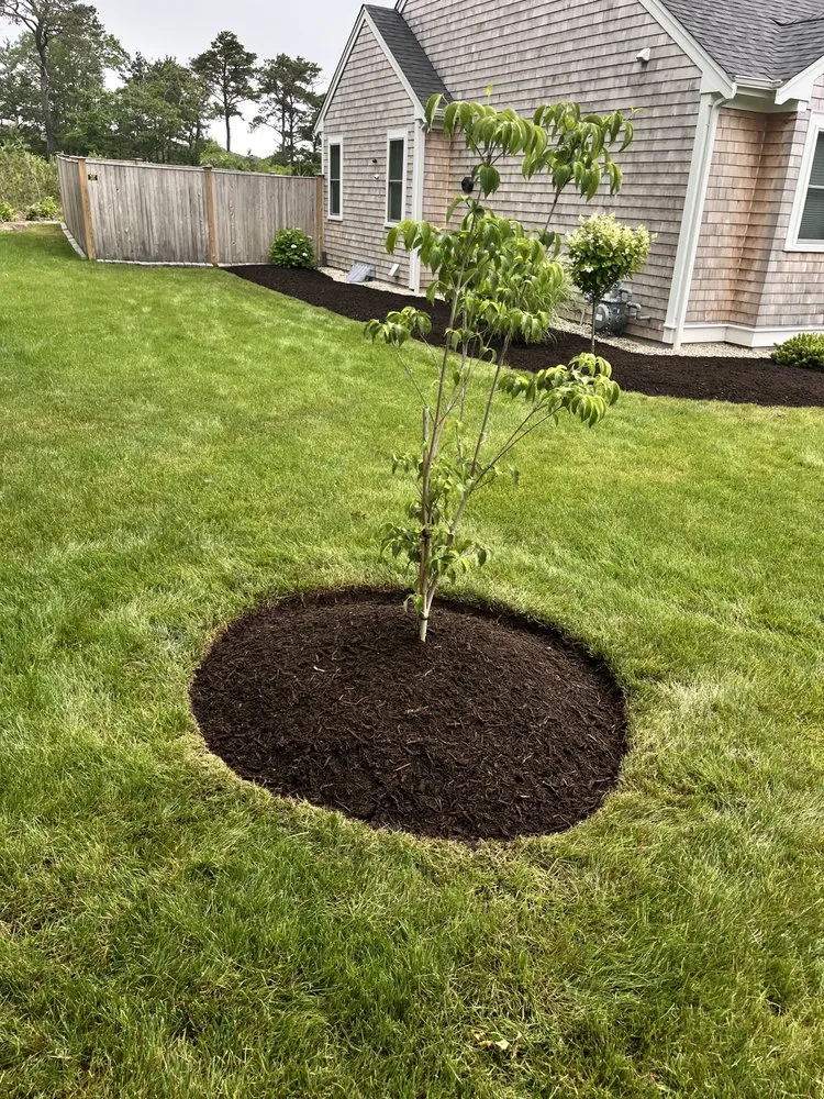 Expert yard maintenance for residential properties in South Yarmouth, MA by Destiny Landscaping