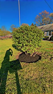 Destiny Landscaping Logo