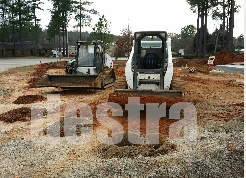 Custom yard maintenance experts serving Raleigh, NC - Destra First
