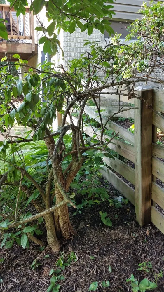 Affordable yard maintenance experts serving Reston, VA - Desy General Contractor