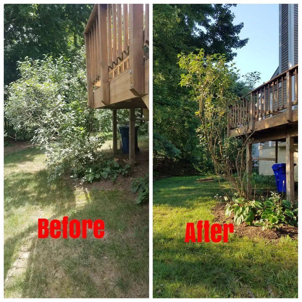 Local lawn care service experts serving Reston, VA - Desy General Contractor