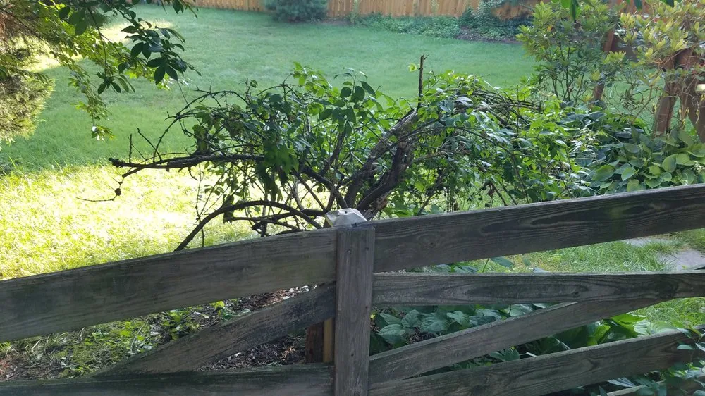 Trusted landscape installation for residential properties in Reston, VA by Desy General Contractor