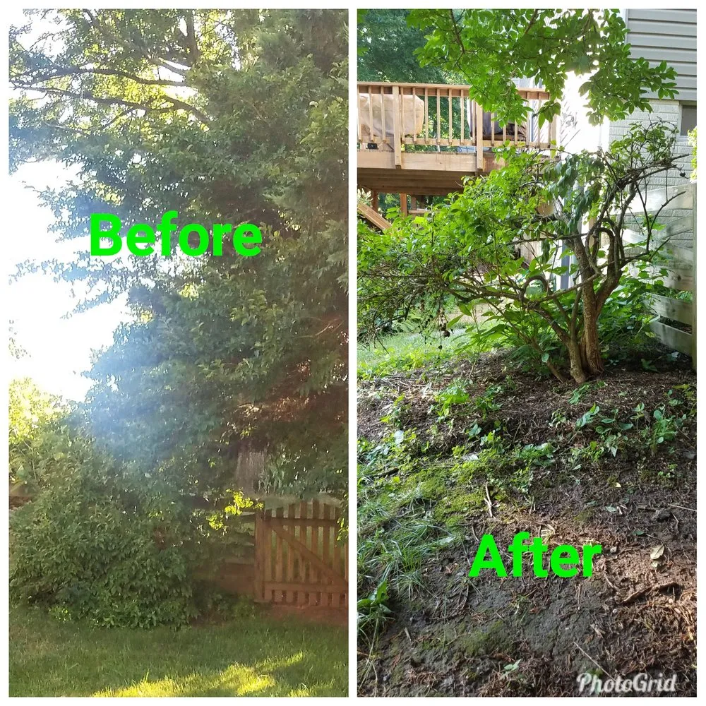 Custom yard cleanup service in Reston, VA by Desy General Contractor