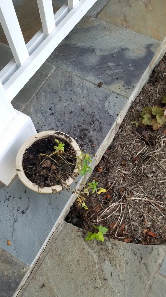 Affordable lawn care service for homes across Reston, VA - Desy General Contractor