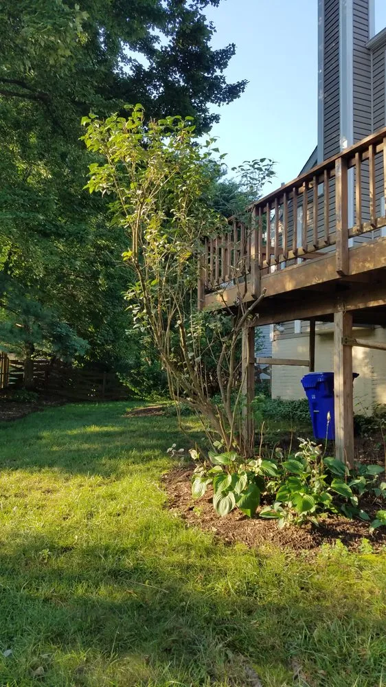 Affordable lawn care service in Reston, VA - Desy General Contractor