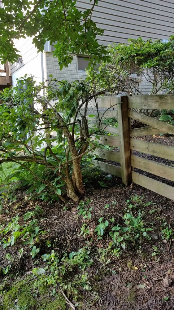 Local landscape design for residential properties across Reston, VA - Desy General Contractor