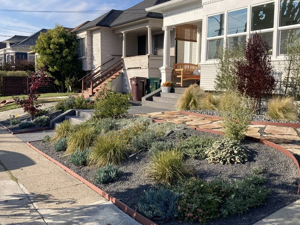 Trusted yard maintenance in Oakland, CA - Detail Gardening