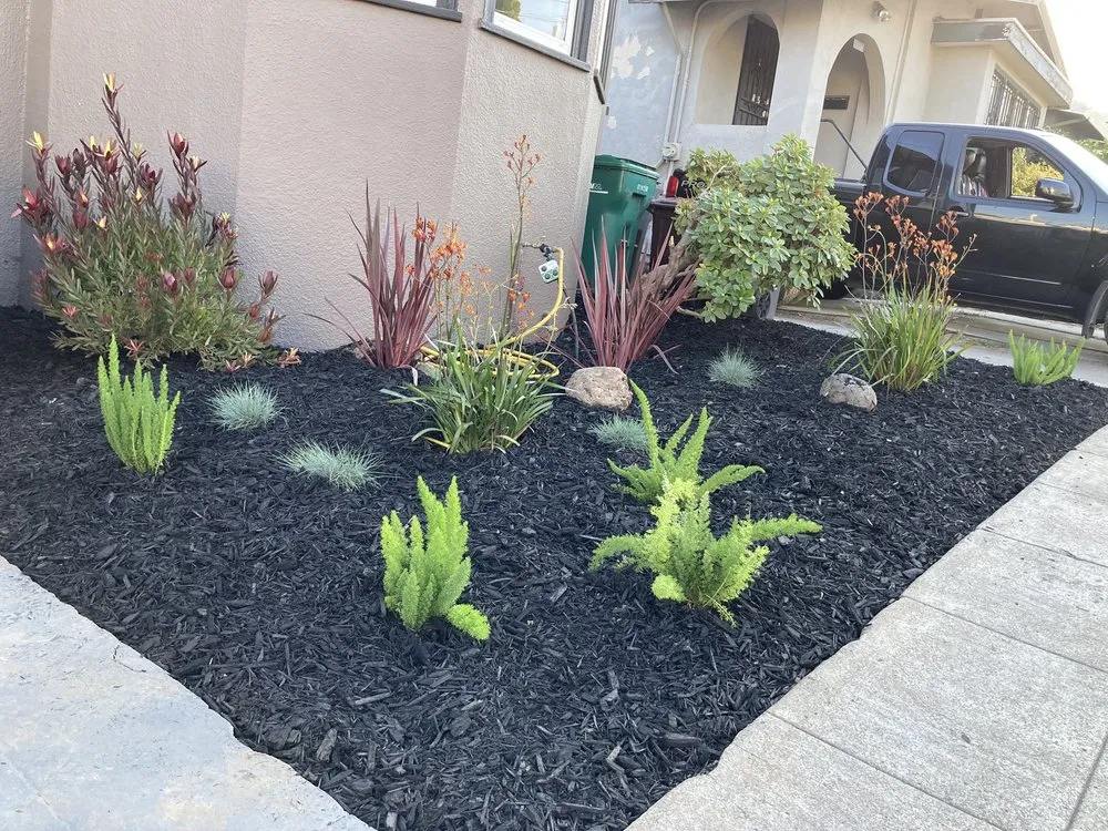 Trusted garden landscaping for year-round maintenance in Oakland, CA by Detail Gardening