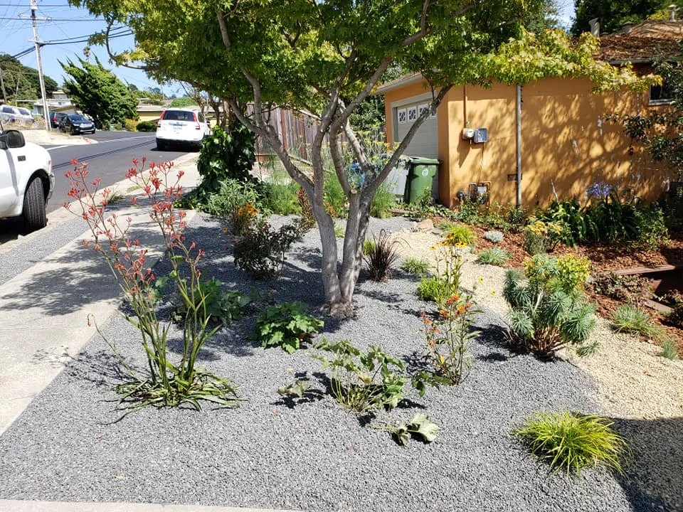 Trusted yard maintenance near you in Oakland, CA by Detail Gardening