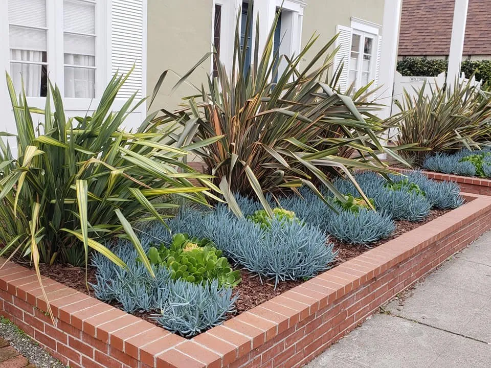 Expert residential landscaping in Oakland, CA by Detail Gardening