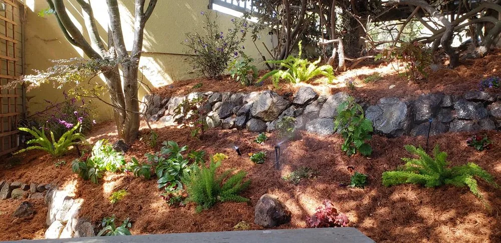 Custom yard maintenance in Oakland, CA - Detail Gardening
