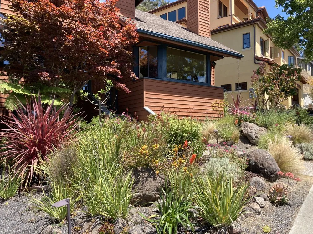 Local yard cleanup service experts serving Oakland, CA - Detail Gardening