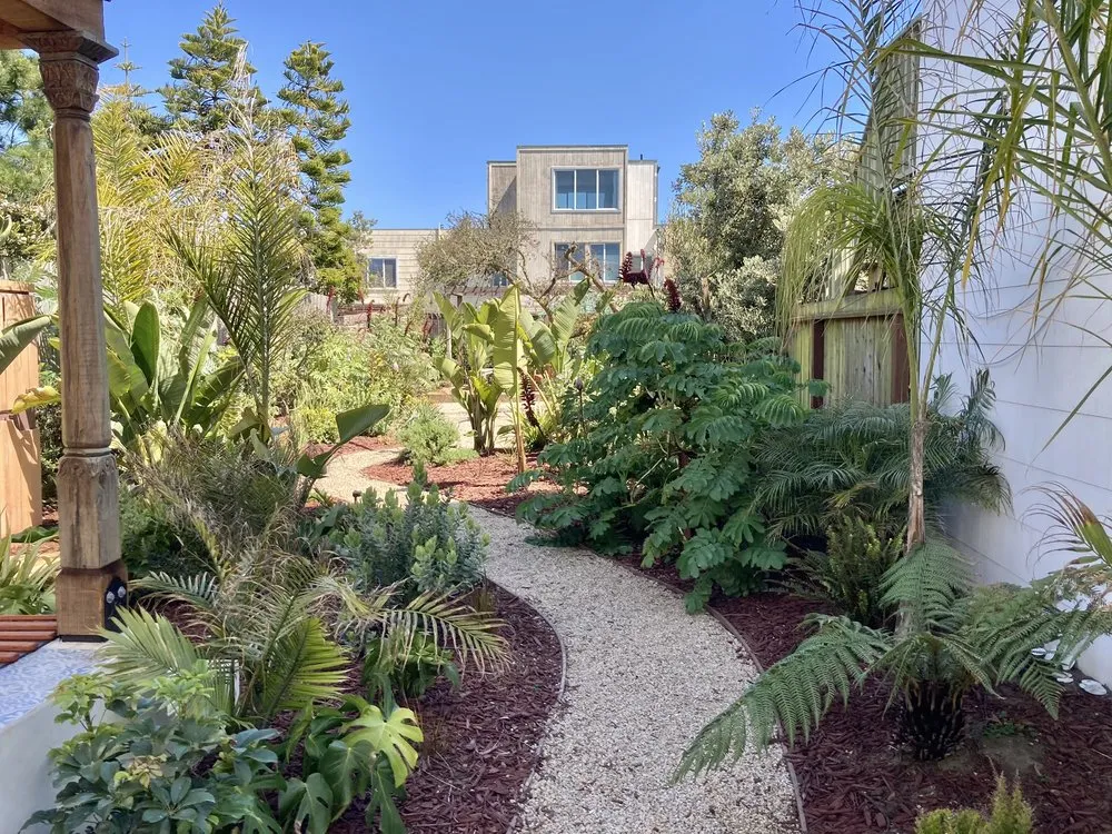 Reliable lawn care service in Oakland, CA by Detail Gardening