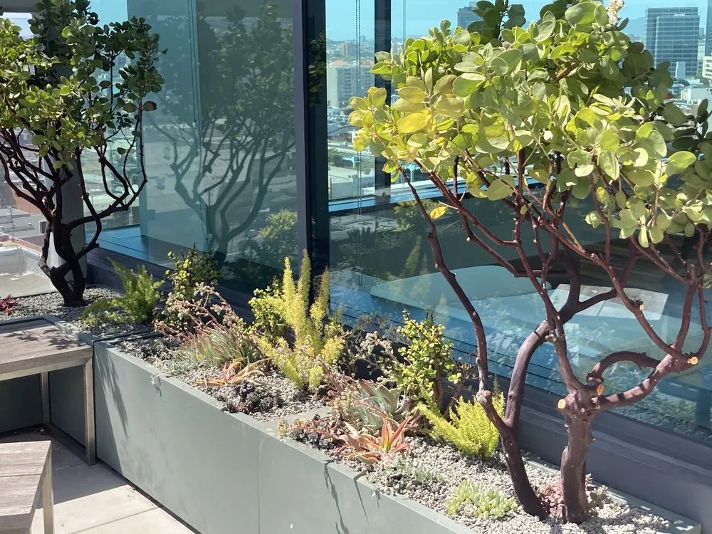 Expert lawn care service for residential properties in Oakland, CA by Detail Gardening