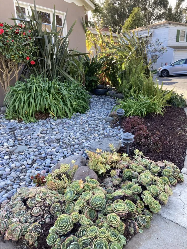 Custom outdoor landscaping in Oakland, CA - Detail Gardening