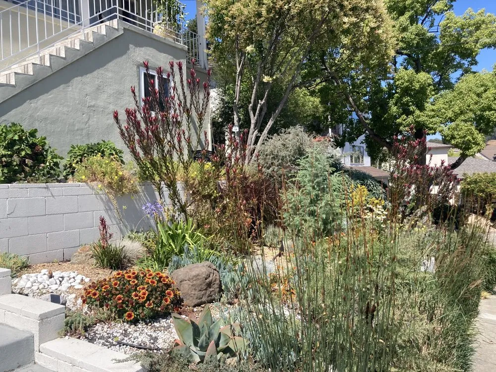 Reliable landscaping services experts serving Oakland, CA - Detail Gardening