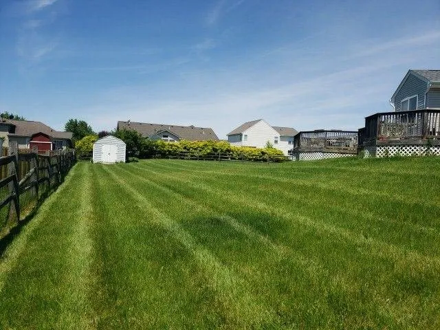 Reliable yard cleanup service near you in Dayton, OH by Detail Landscaping and Lawn Care