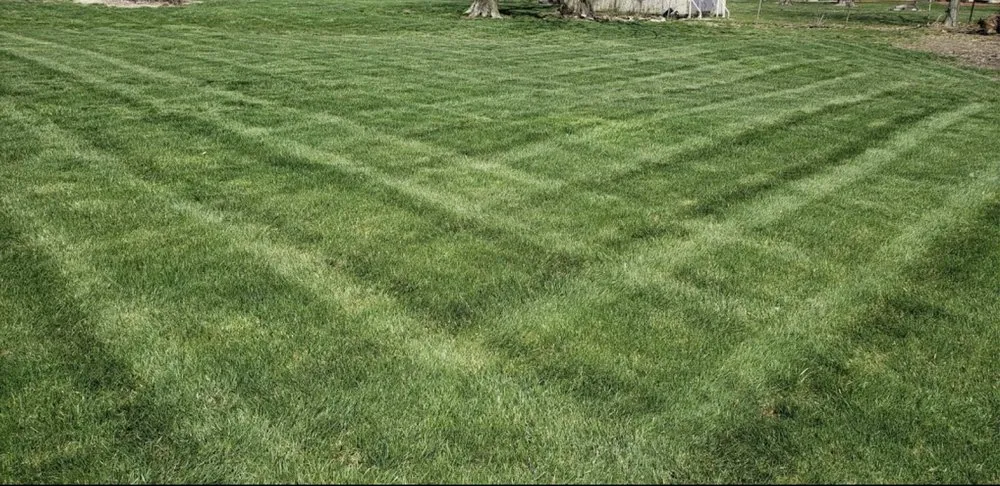 Local landscape installation in Dayton, OH by Detail Landscaping and Lawn Care