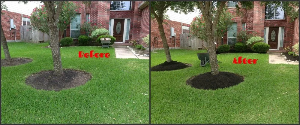 Expert yard maintenance in Dayton, OH - Detail Landscaping and Lawn Care