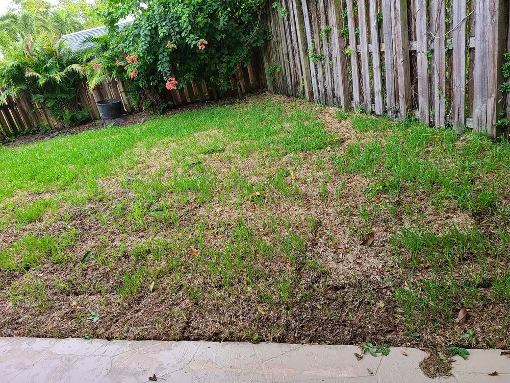 Local lawn mowing service in Miami, FL - Detail Masters Lawn and Landscaping