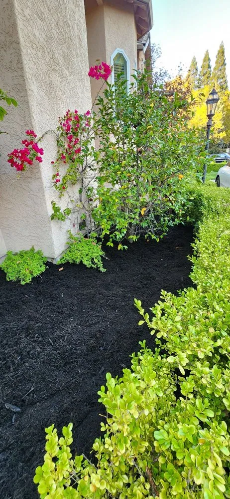 Custom yard maintenance for homes in San Pablo, CA by Detail M&M