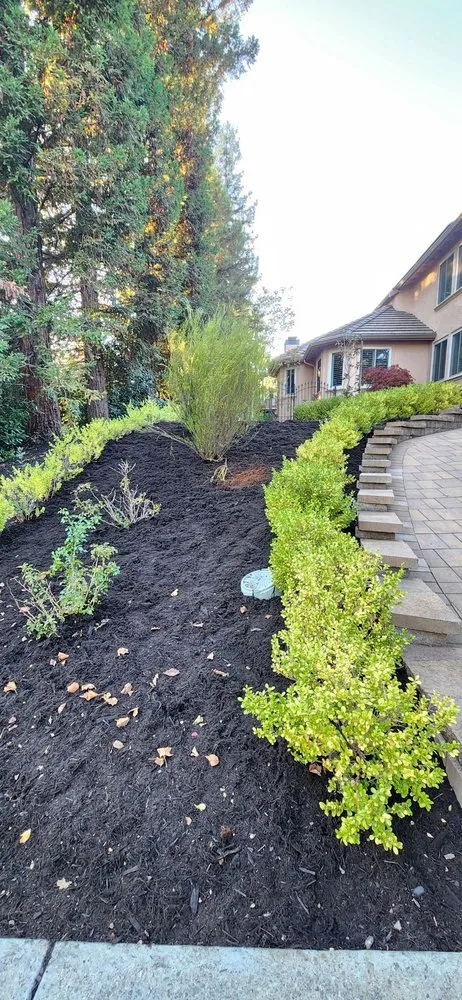 Reliable lawn mowing service in San Pablo, CA by Detail M&M