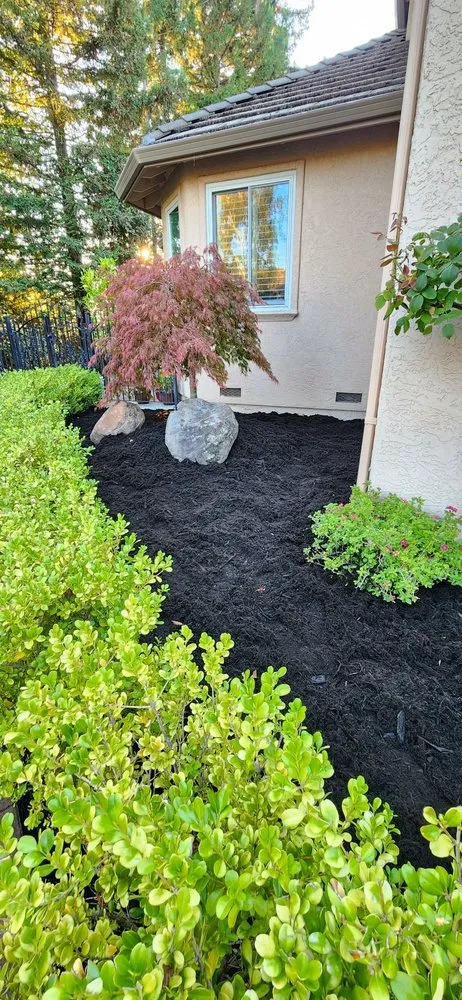 Reliable garden landscaping for year-round maintenance in San Pablo, CA by Detail M&M