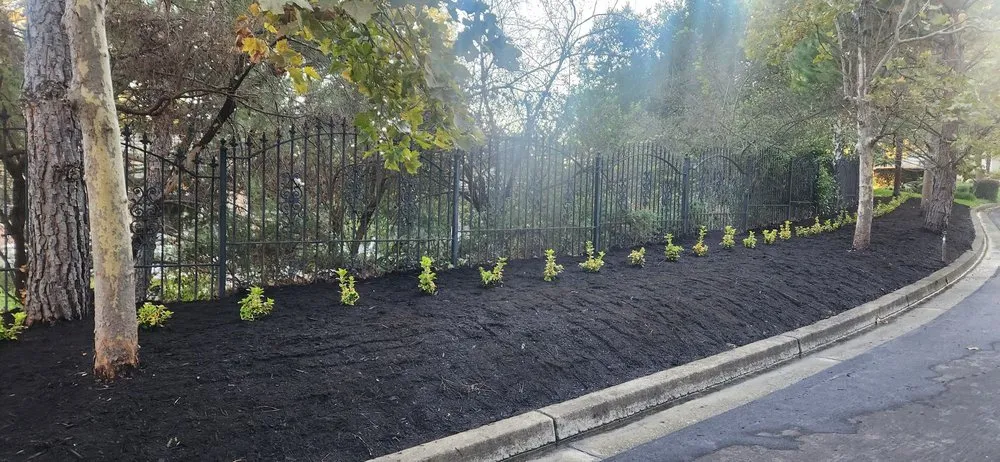 Professional garden landscaping near you in San Pablo, CA by Detail M&M