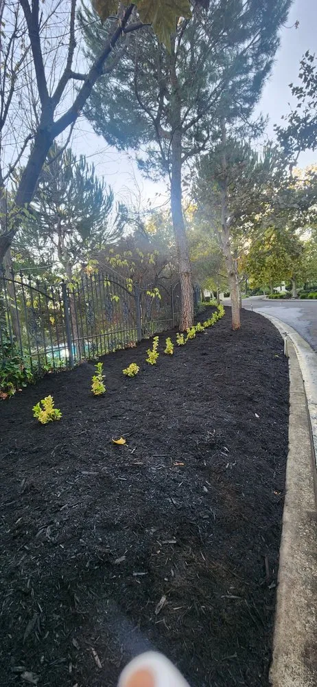 Professional landscape design near you in San Pablo, CA by Detail M&M