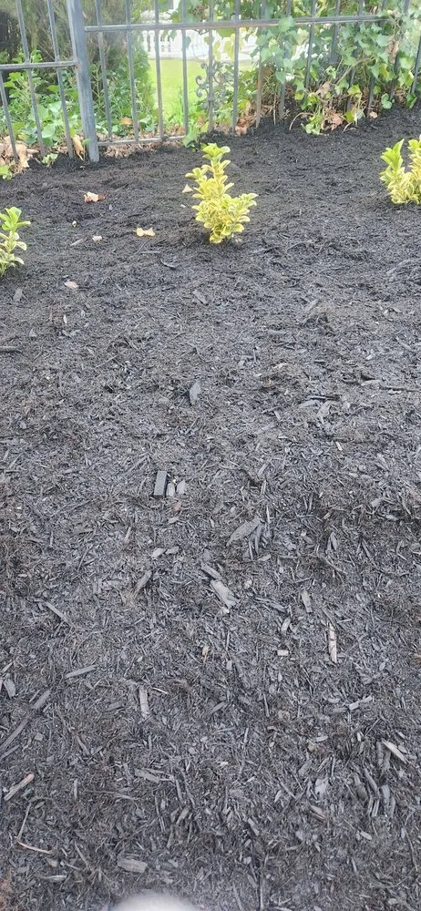 Reliable residential landscaping experts serving San Pablo, CA - Detail M&M