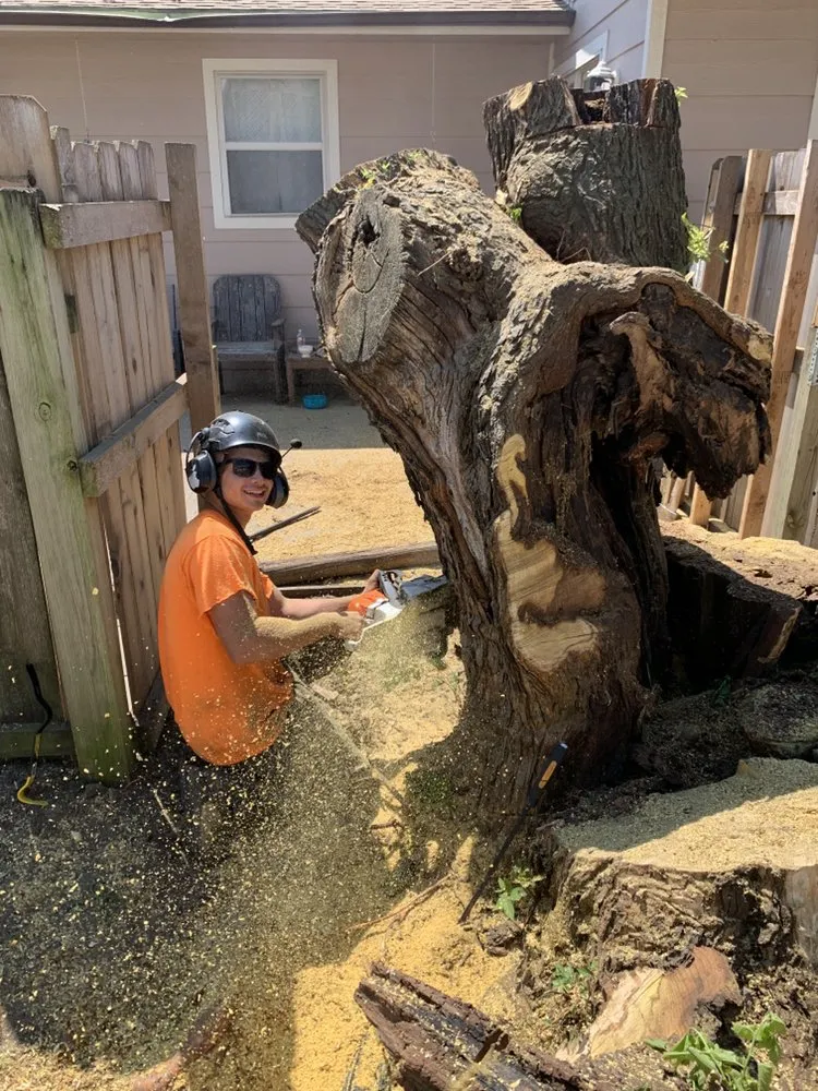 Affordable lawn mowing service in Newton, KS - Detail Tree Works & Landscaping