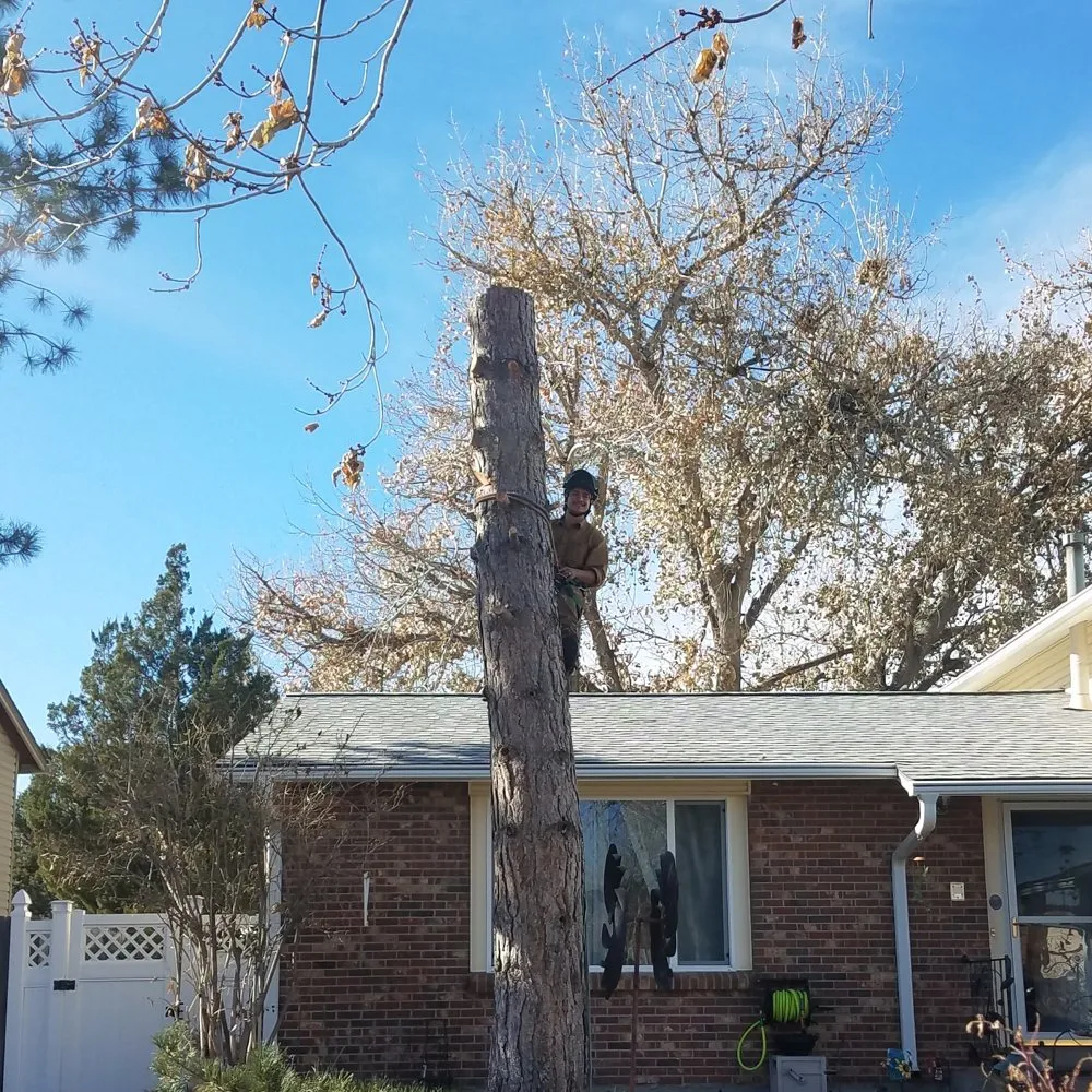 Custom lawn mowing service with custom design in Newton, KS by Detail Tree Works & Landscaping