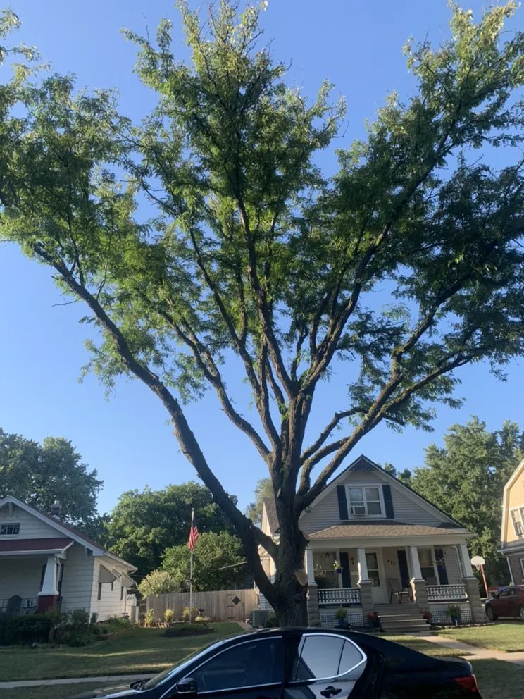 Expert landscaping services for residential properties in Newton, KS by Detail Tree Works & Landscaping