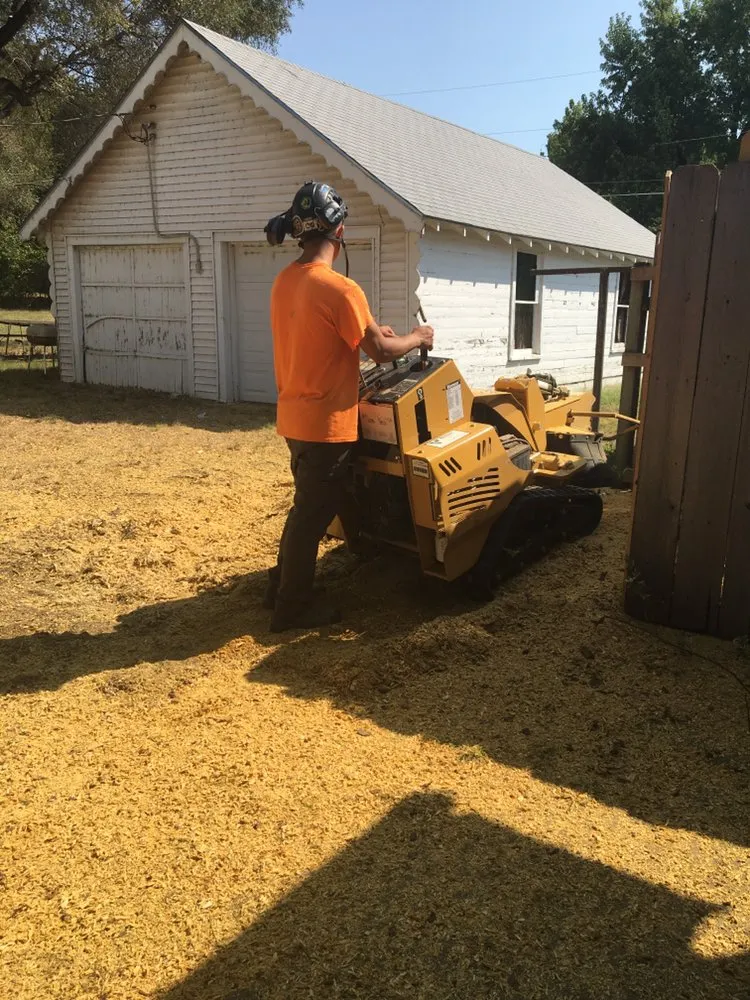 Trusted yard maintenance in Newton, KS by Detail Tree Works & Landscaping