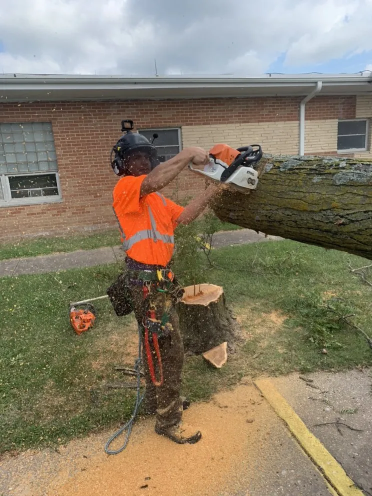 Top-rated yard cleanup service in Newton, KS - Detail Tree Works & Landscaping