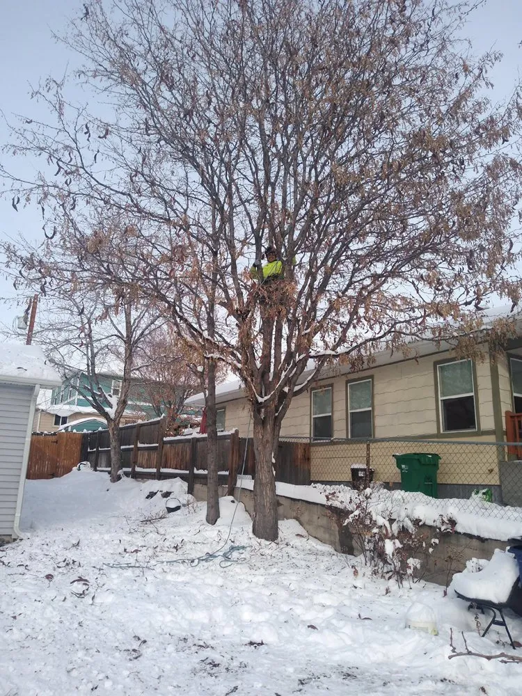 Trusted outdoor landscaping for outdoor upgrades across Newton, KS - Detail Tree Works & Landscaping