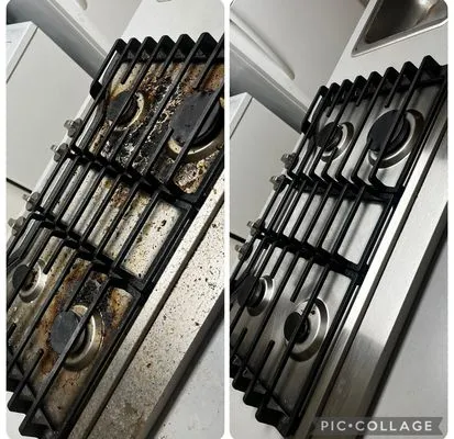 Detailed Duos Cleaning and Landscaping Logo