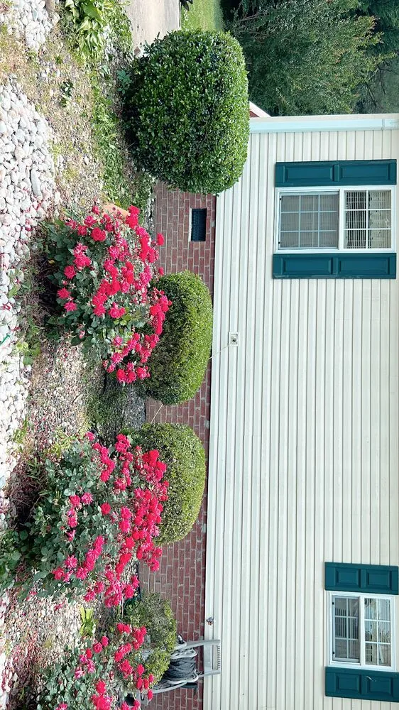 Reliable yard cleanup service in Durham, NC - Detailed Landscaping & Design