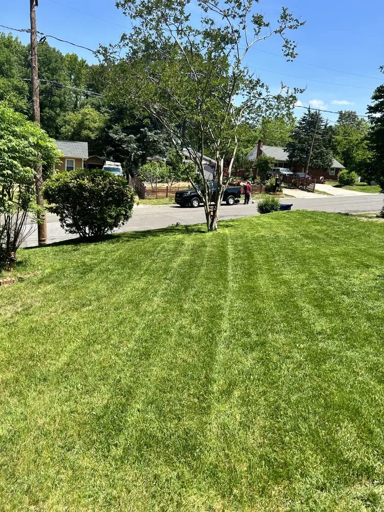 Expert landscape design for beautiful yards across Durham, NC - Detailed Landscaping & Design