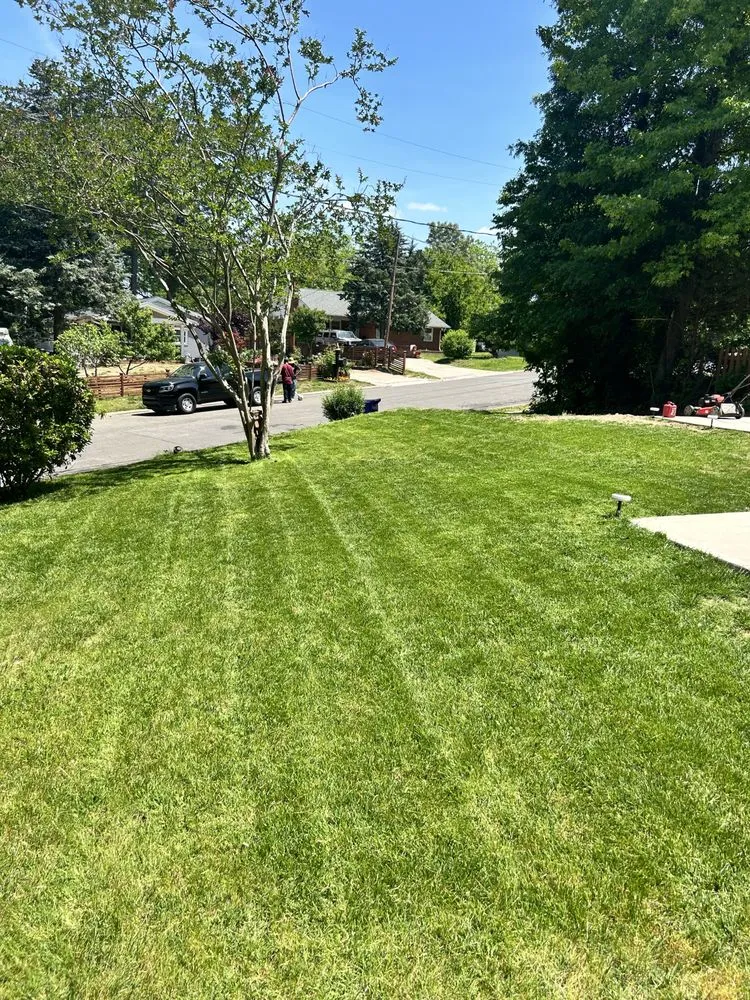 Trusted garden landscaping with custom design in Durham, NC by Detailed Landscaping & Design