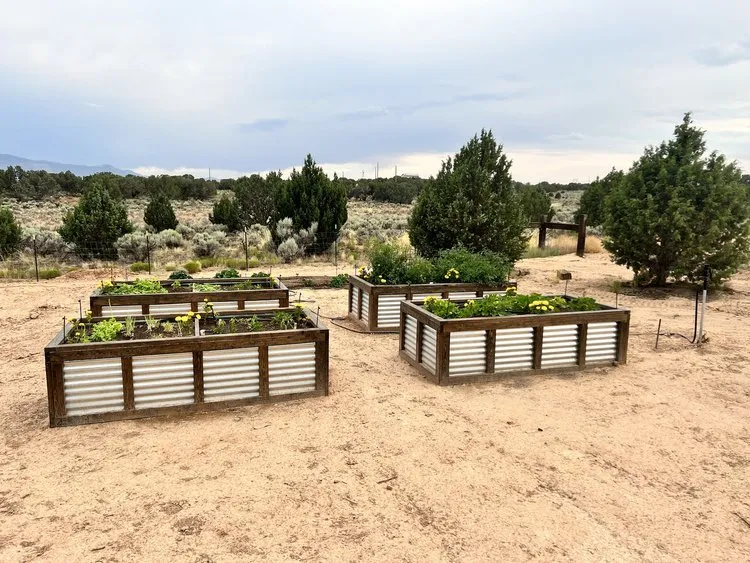 Custom landscaping services experts serving Enoch, UT - Detailed Landscaping