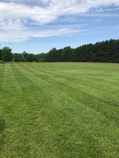 Top-rated landscaping services in Maiden Rock, WI - Detailed Lawn & Landscaping