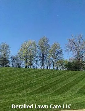 Affordable lawn care service in Maiden Rock, WI - Detailed Lawn & Landscaping