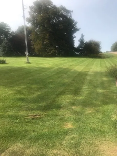 Reliable yard maintenance near you in Maiden Rock, WI by Detailed Lawn & Landscaping