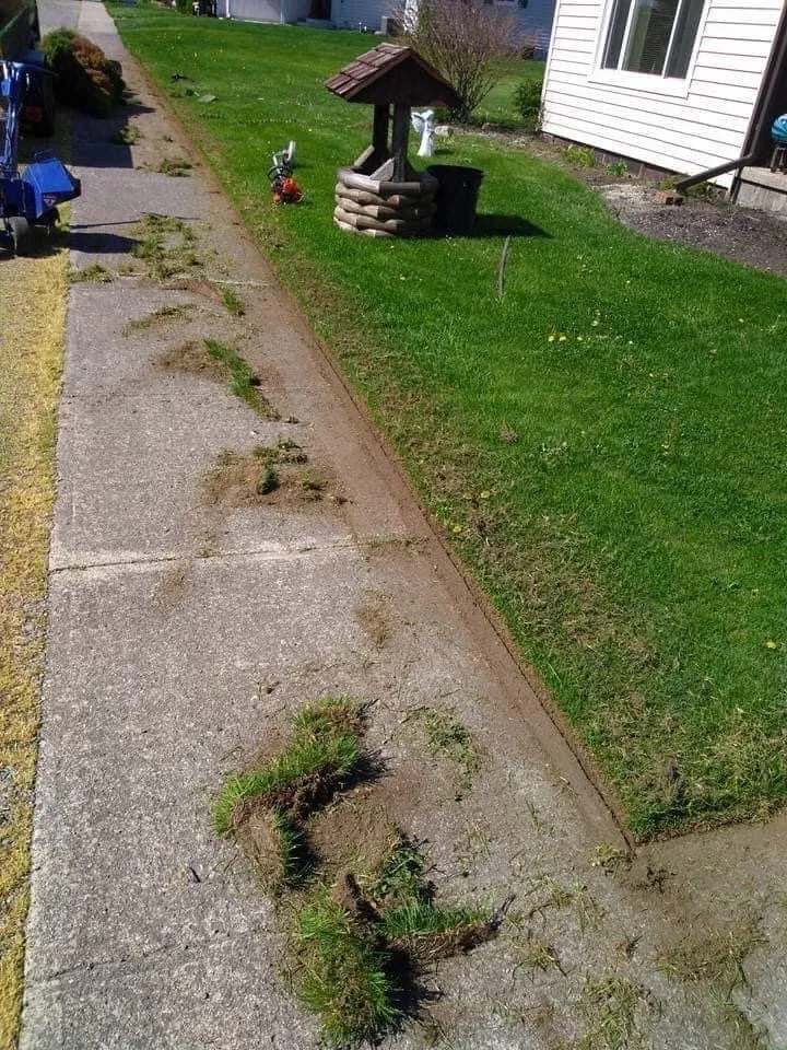 Local outdoor landscaping in findlay, OH - Detailed Lawns & Landscaping