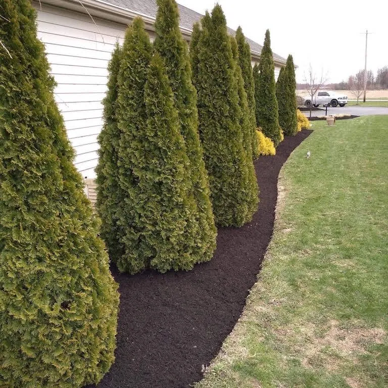 Local lawn mowing service near you in findlay, OH by Detailed Lawns & Landscaping