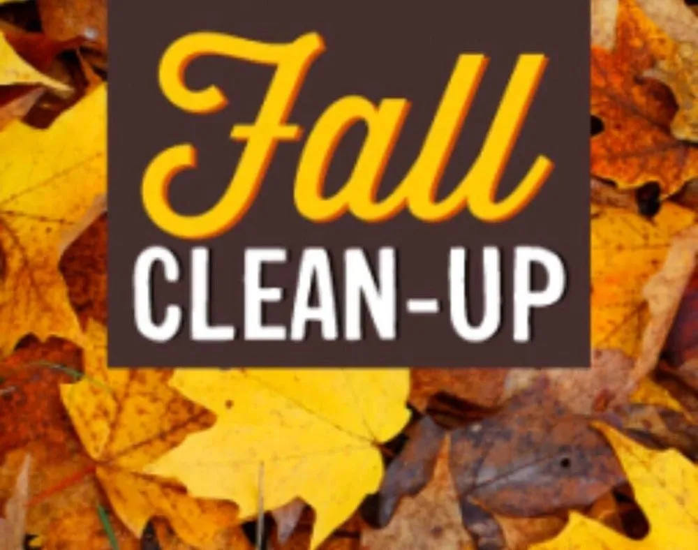 Custom lawn care service experts serving findlay, OH - Detailed Lawns & Landscaping