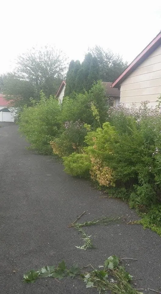 Reliable landscape installation for year-round maintenance across findlay, OH - Detailed Lawns & Landscaping