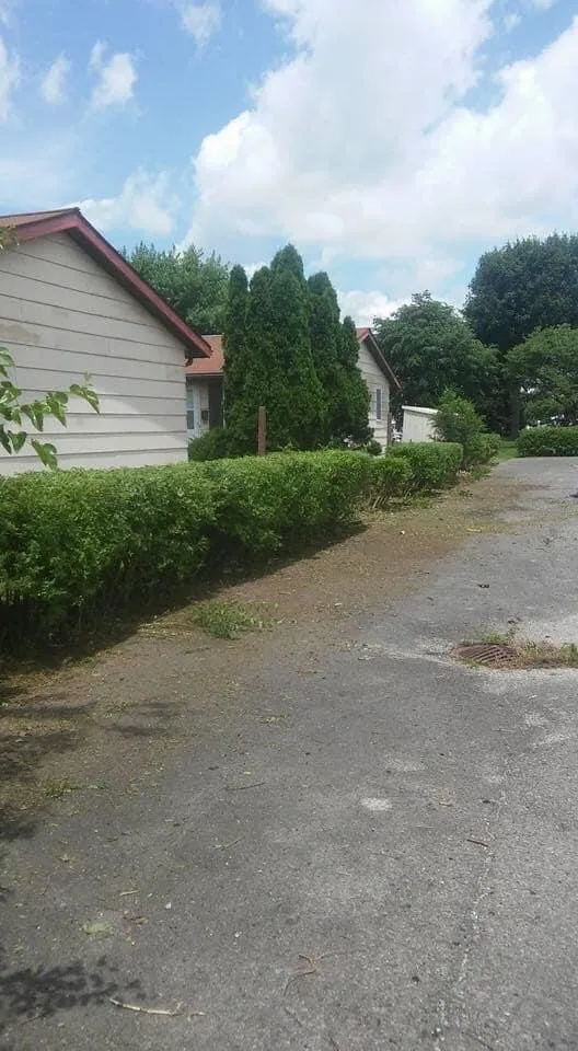 Custom yard cleanup service for homes in findlay, OH by Detailed Lawns & Landscaping